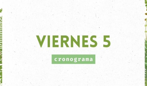 Dia 1 FAB 7 en Tucumán